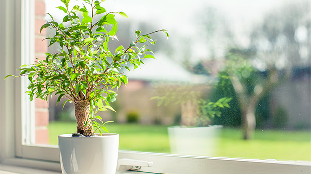 高機能サッシ｜SGU-HOME